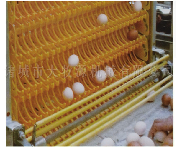 �Զ�������