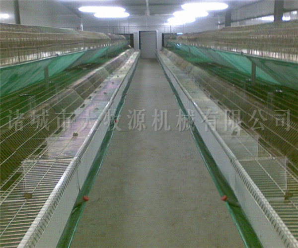 ���Ѵ�������